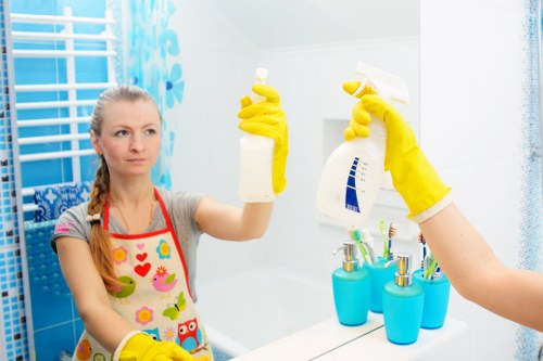 Cleaner services for homes and flats in N8