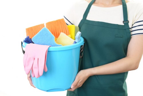 Professional hard floor cleaning for homes and businesses in N8