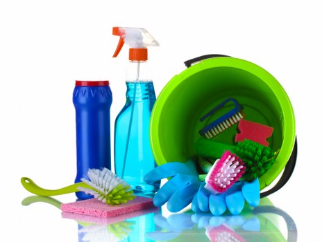 Professional carpet cleaning in a N8 home with a focus on deep cleaning and freshness