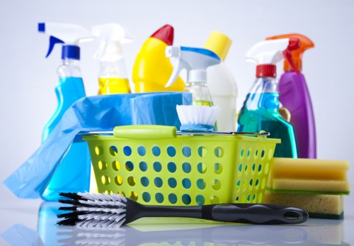 Professional window cleaning for homes and businesses in N8