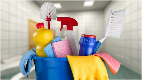 Carpet cleaning in N8 with fresh and revitalized flooring