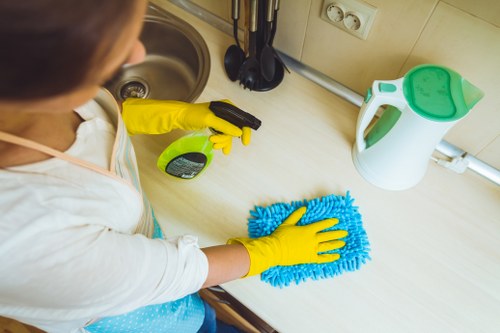 Local carpet cleaning service for homes in N8