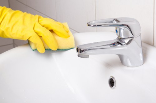 Deep carpet care for homes and businesses in the N8 area