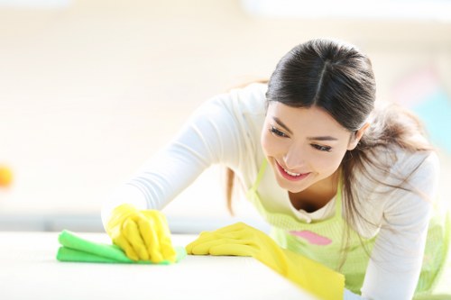 Deep cleaning support for flats and family houses in N8