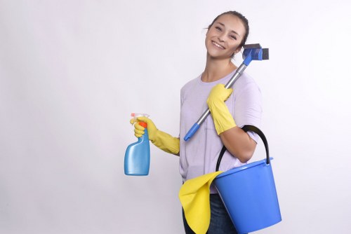 Preparation checklist and cleaning materials for a deep cleaning appointment in N8