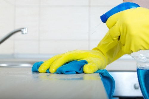 Professional cleaning for London homes and offices in N8