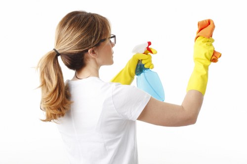 Professional house cleaning service for homes in N8