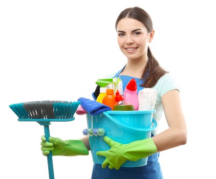 Cleaning team servicing residential and small business properties in N8