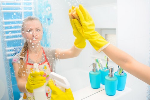 Local cleaner handling residential windows in the N8 area