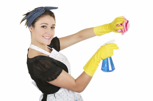Oven cleaning appointment in a kitchen with limited access in N8
