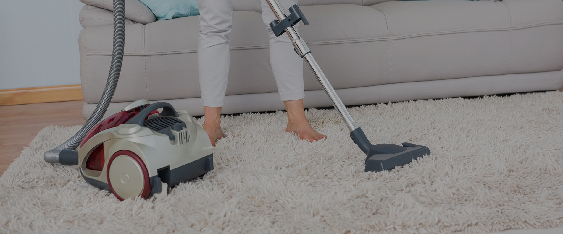 Carpet Cleaning N8