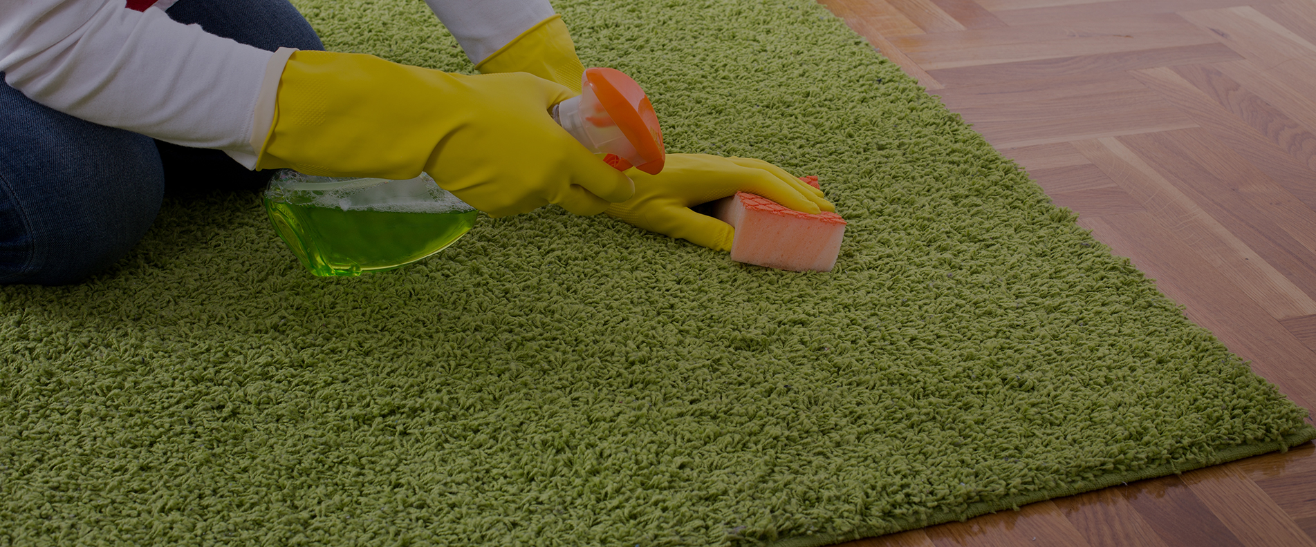 Carpet Cleaning N8